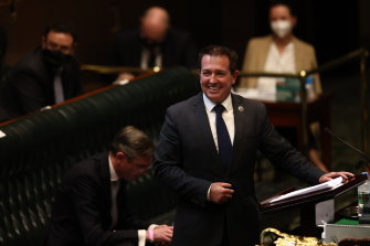 Deputy Premier Paul Toole will move to stop a controversial coal project in the Hawkins and Rumker areas.