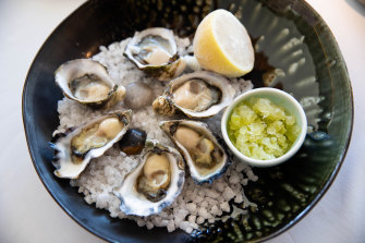 Sydney rock oysters and royal miyagi pacific oysters.
