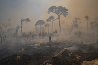 Fire consumes land recently deforested by cattle farmers near in Para state, Brazil. 