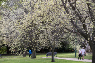 Spring is beginning to bloom in Melbourne.