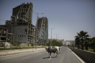 A bull stands in the middle of a deserted road on the outskirts of Delhi during the lockdown to control the spread of COVID-19.