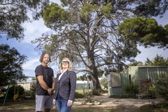 Kevin Neville and Renay McIntyre are calling for a tree with potential historic links to Phar Lap to be examined for its significance.