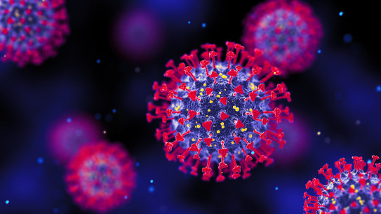A 3D render of SARS-CoV-2, the virus that causes COVID-19.