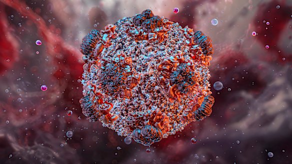 An illustration of a hantavirus, a rodent-borne virus that causes flu-like symptoms and eventually causes the lungs to fill with fluid.