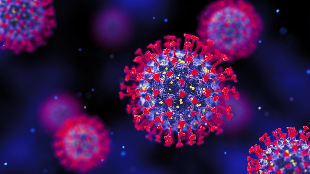 A 3D render of the XBB.1.5 variant, which now makes up most of the coronavirus cases in Queensland.