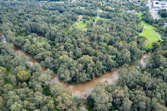 The treetop adventure park was proposed for a Parks Victoria site in Yarra Flats Park by the Yarra River.