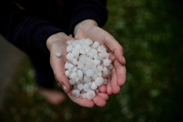 Hail falls in Bondi on Wednesday afternoon. 