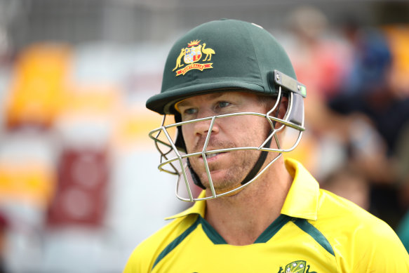 David Warner has a desire to captain his country again. Should he be allowed the chance?