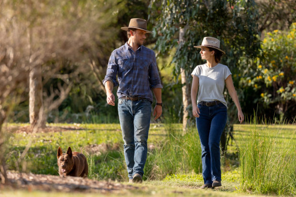 McDonald says he deliberately wanted to capture the beauty of the Gold Coast hinterland in a way that would appeal to foreign viewers.