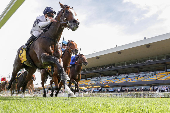Overpass wins the Expressway Stakes at Rosehill in January.