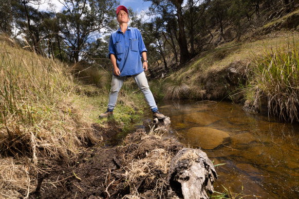 Farmer Jo on the creek bed that’s been previously damaged by feral pigs. 
