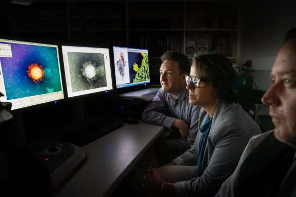 Dr Julian Druce (left), Professor Deborah Williamson and Dr Jason Roberts at The Peter Doherty Institute for Infection and Immunity. 