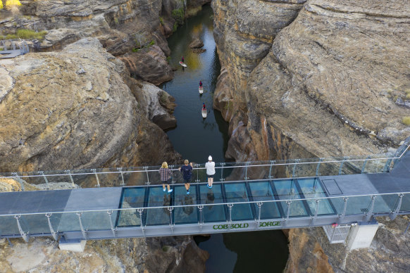 The glass bridge at Cobbold Gorge.