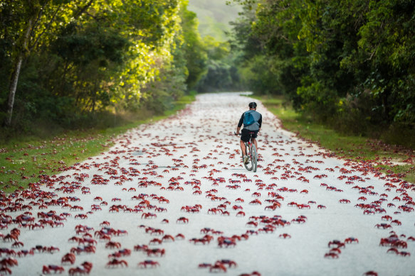 Check the big red signs for crab-related road closures.