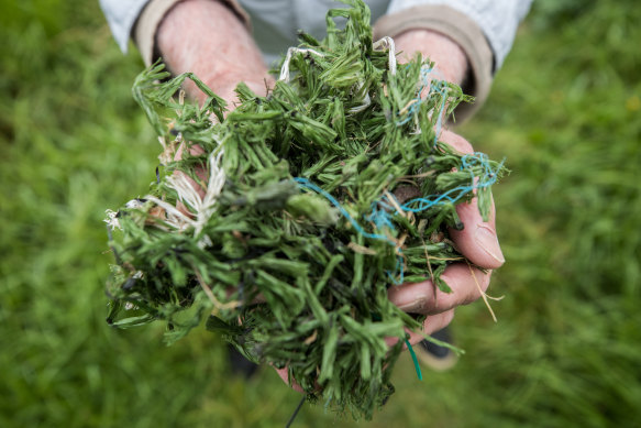 The environmental effects of artificial grass have sparked debates in local councils.