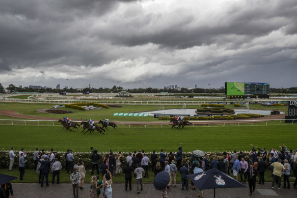 A seven-race twilight meeting at Rosehill wraps up the working week for Racing NSW.