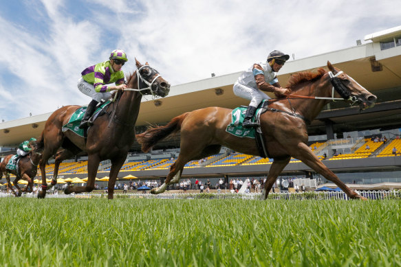 Anthony Cavallo on Zoo Station wins  the Tab Highway Class 3 Handicap at Rosehill Gardens in January.