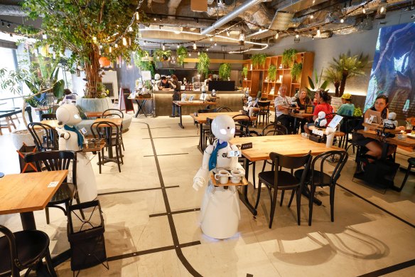 The robots stick to a track that weaves around the room.