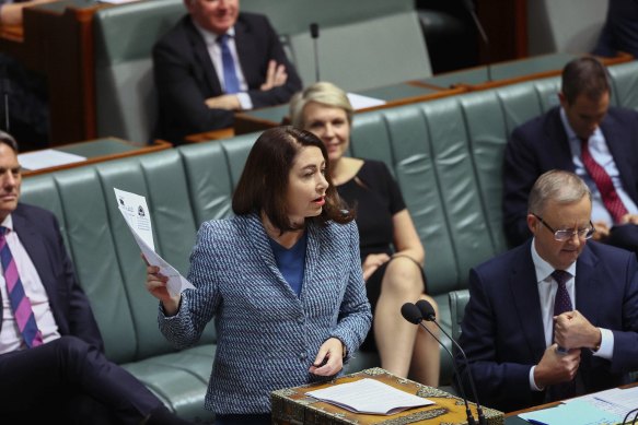 Labor’s environment spokeswoman, Terri Butler, says the government isn’t taking climate change seriously. 