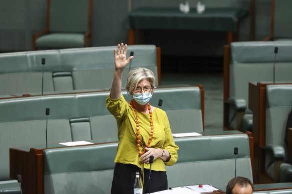 Member for Indi Helen Haines in Federal Parliament today.