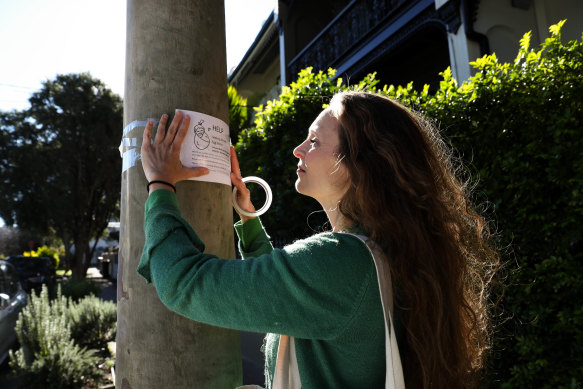 Emma Sweeney (not her real name) has resorted to putting posters on trees and telegraph poles in search of an egg donor.