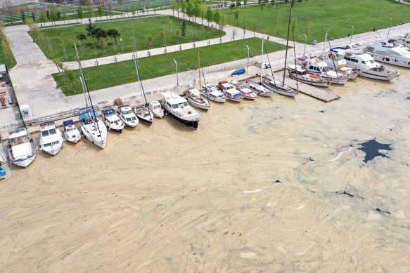 A drone view of a thick layer of mucus - known as “sea snot” - on a harbour in Istanbul.