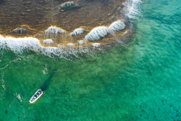 A tour from Cygnet Bay Pearl Farm takes in Waterfall Reef.