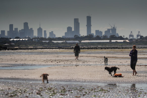 There's not much to indicate a state of emergency at Altona dog beach on Monday.