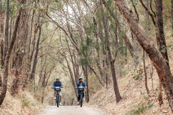 Cycling along the  Murray to Mountains Rail Trail.