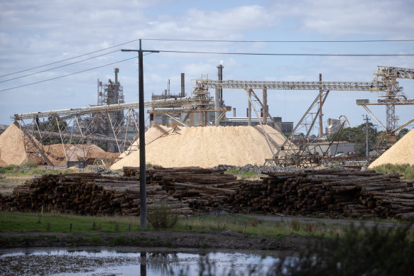Maryvale mill relies on pulpwood – a byproduct of logging in native forests – to make paper and cardboard.