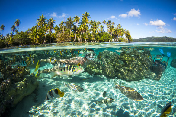 Moorea is part of the Society Islands archipelago.