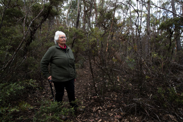 Gundungurra elder Auntie Sharyn Halls at Radiata Plateau in the Blue Mountains. The area will be known as the Ngula Bulgarabang Regional Park.
