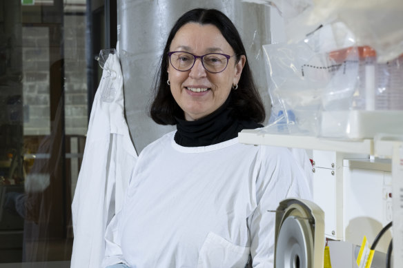 Professor Glenda Halliday in the Brain and Mind Centre in Sydney, is one of a growing number of women being recognised.