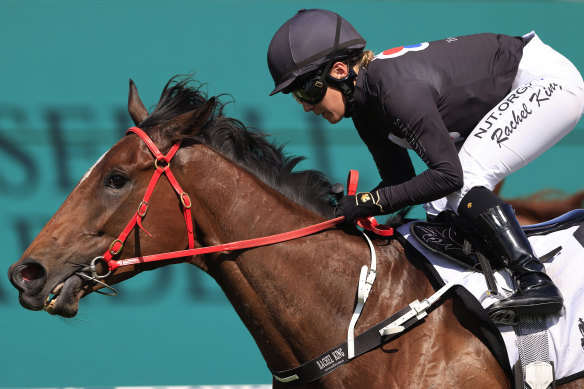 Threeood could win another year on the track in the Winter Stakes at Randwick on Saturday.