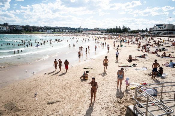 An extended summer: Sydney had its hottest day in two years this week.