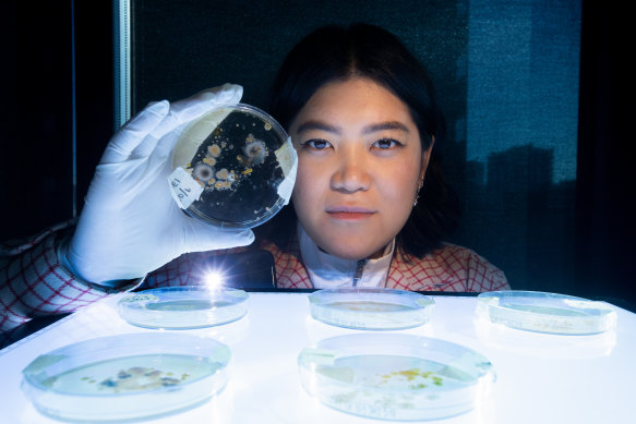Huei Yin Wong has been asking single Melbournians to kiss a petri dish.