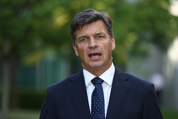 Shadow treasurer Angus Taylor.