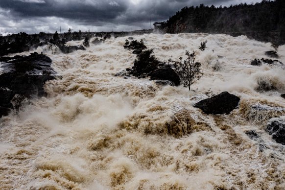 Wyangala Dam has been releasing up too 85,000 megaliters of water a day over the past few days . Downstream areas around Cowra and Forbes are expecting major flooding.