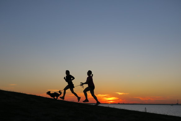 Melburnians have a preference for smaller dogs – and creative names.