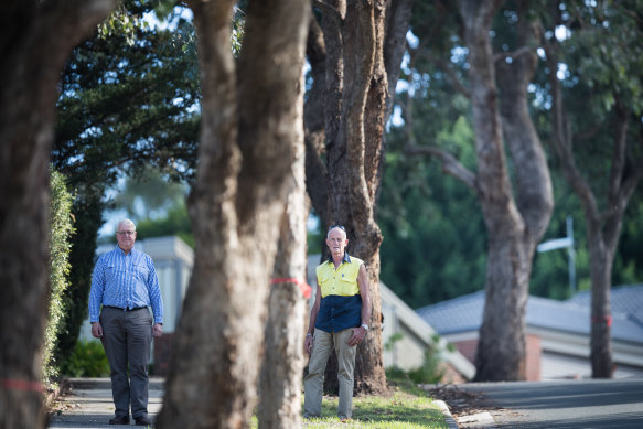Neighbours Rupert Johnston and Antonio Di Martino are angry at Yarra Ranges Council for refusing to chop down street trees.