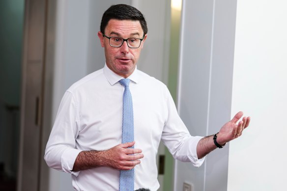 Nationals leader David Littleproud.