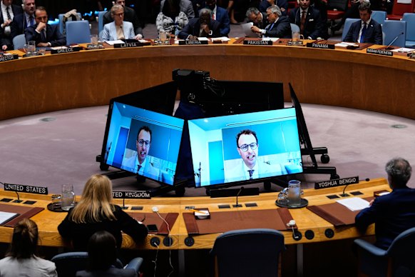 Dario Amodei, chief executive of Anthropic, speaks remotely during a Security Council meeting on Wednesday.