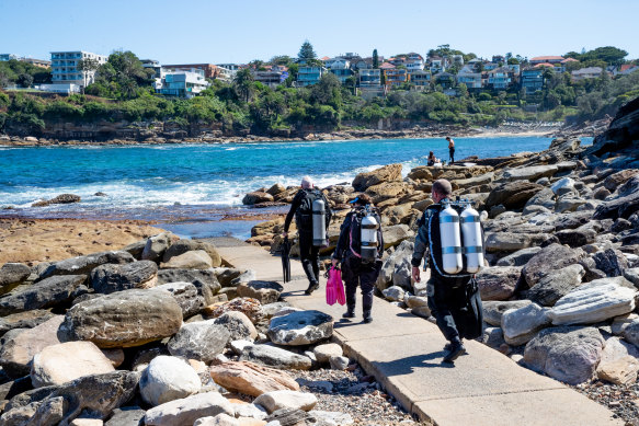 Plans to sink a navy ship off Coogee Beach to create an artificial reef for scuba divers has triggered concerns from some Randwick councillors about its cost and impact on marine life.