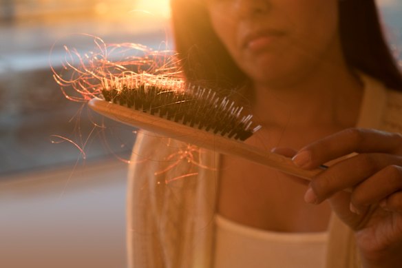 The average amount of shedding is between 50 to 100 hairs a day.
