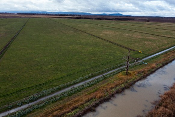 The government struck a deal with the Greens to pass the reforms. 