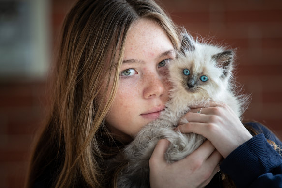 Howie was bought from a backyard breeder and nearly died soon after. He is now recovering with owner Emily, 13.