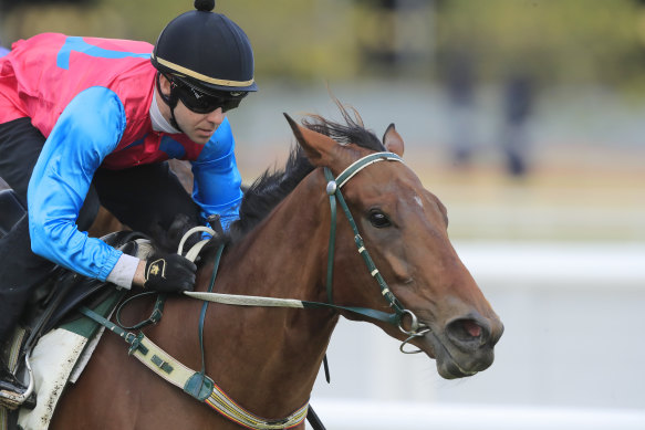 Moving to Australia has proved a career masterstroke for jockey Keagan Latham.