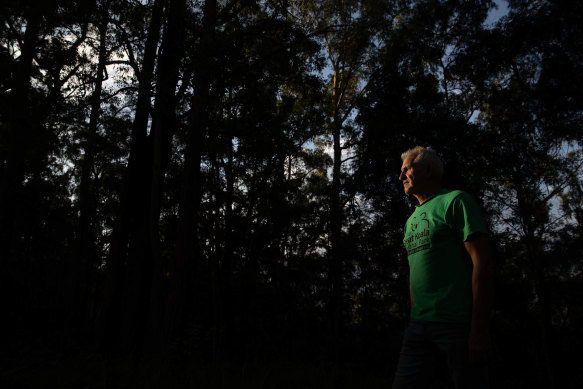 Bellingen Mayor Dominic King is unclear where his council’s Koala Plan of Management stands.