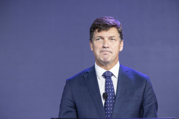 Federal Energy Minister Angus Taylor says the pledges by ASX 200 companies to reduce emissions is the "easy part".