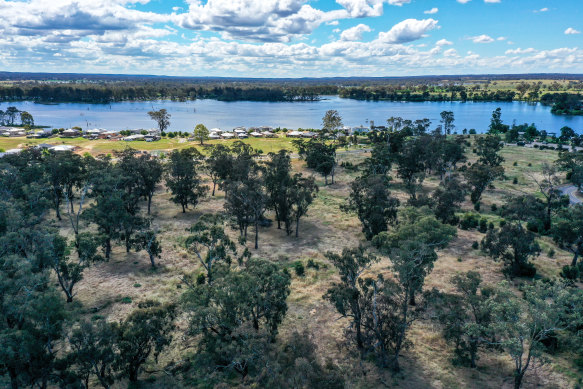 The view of the trees from the sky. 